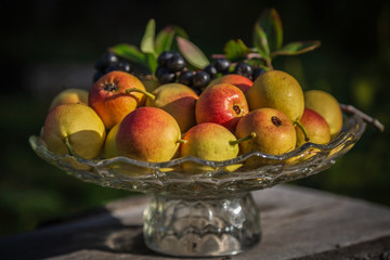 Wall Mural - Still life with pears