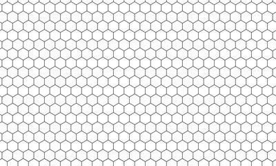 Wall Mural - Hexagon net pattern vector background