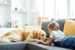 © pressmaster - Little girl lying on sofa in front of her pet and trying to play with the dog