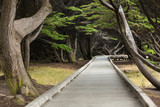 Fototapeta Natura - Empty wooden boardwalk leading to the beach