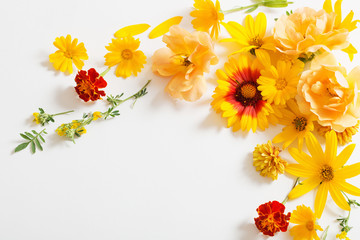 Wall Mural - yellow and orange flowers on white background