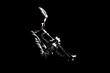 Trumpet player playing jazz musician woman