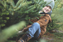 Happy Boy Cutting A Fresh Christmas Tree At A Farm