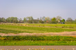 Netherlands,Lisse, SCENIC VIEW OF AGRICULTURAL FIELD AGAINST SKY