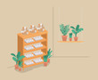 © Grgroup - plants vivarium in shelving