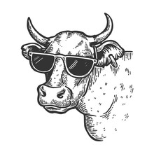 Cow Animal In Sunglasses Engraving Vector Illustration. Scratch Board Style Imitation. Black And White Hand Drawn Image.
