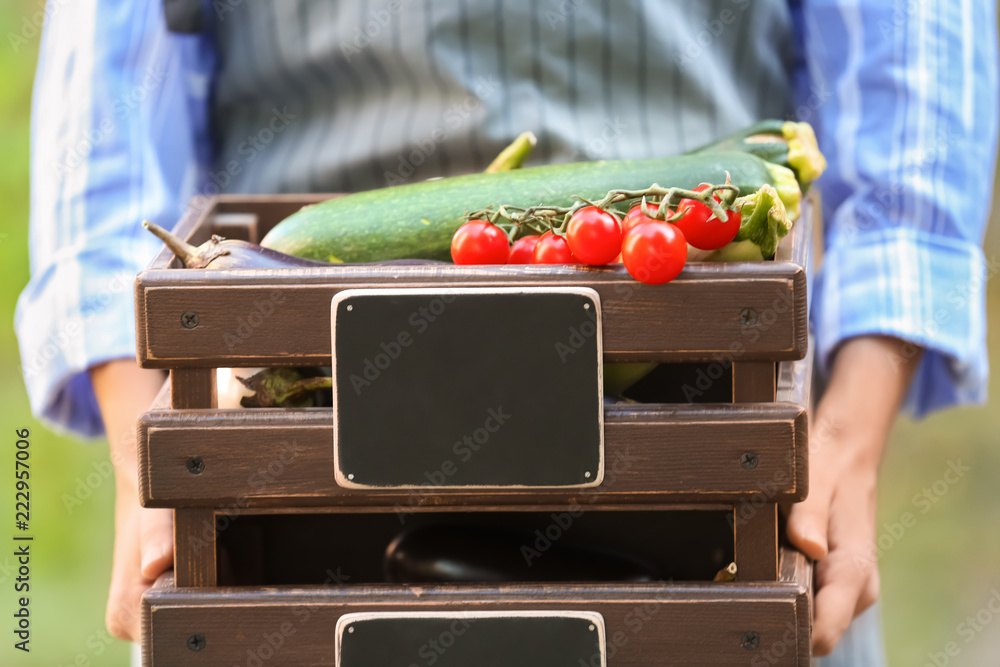 Woman holding crates with various fresh vegetables, closeup