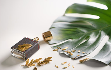 Bottle with perfume and green tropical leaf on white background