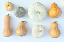 Pumpkins And Squashes Varieties