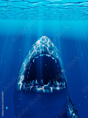 3d rendered illustration of a shark Tableau sur Toile