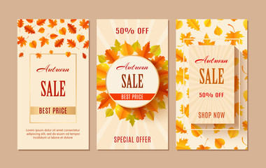 Wall Mural - Autumn sale banners. Season leaf card design.