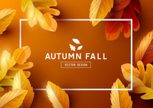 Autumn Frame Background Top View