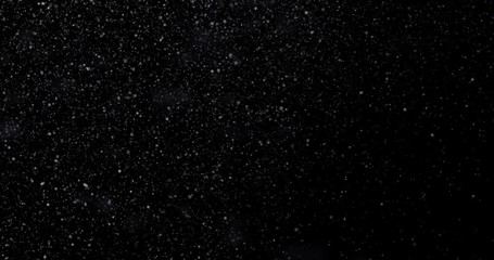 Wall Mural - Snowfall on a black background