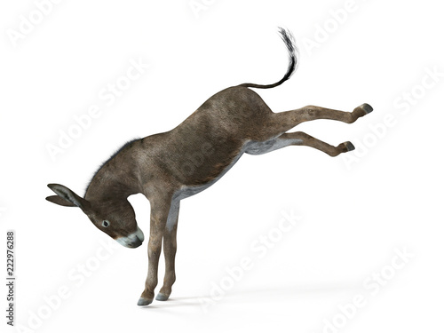 Cuadros en Lienzo 3d rendered illustration of a donkey