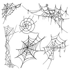 Wall Mural - Spiderweb vector illustration