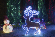 LED Christmas Decoration In Garden
