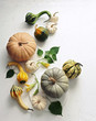 © JOSEPH DE LEO - Heirloom Pumpkins