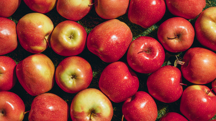 top view of red apples on green grass