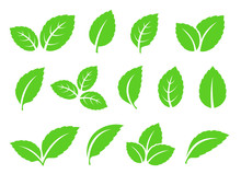 hand drawn abstract mint leaves set icons