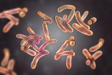 Poster - Vibrio cholerae bacteria, 3D illustration. Bacterium which causes cholera disease and is transmitted by contaminated water