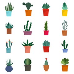 Sticker - Succulent and cactus flowers plant floral icons set. Flat illustration of 16 succulent and cactus flowers plant floral vector icons for web