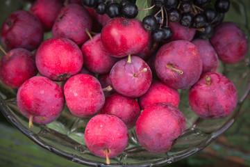 Wall Mural - Red apples and black berries in a vase