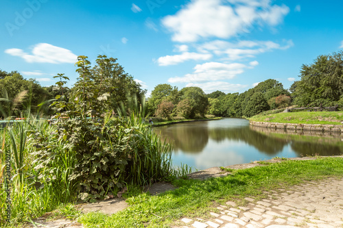 Fotografía Shrubbery along the Leeds Liverpool Canal at Gathurst, near Wigan under blue ski