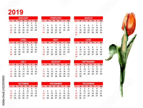 Template for calendar 2019  with Red Tulip flower