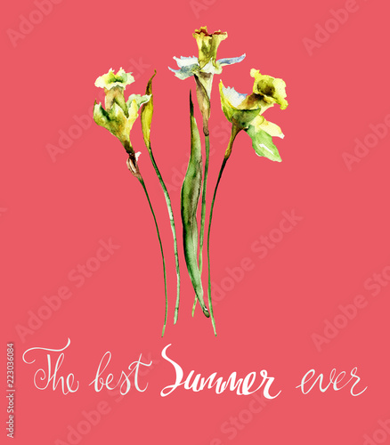 Narcissus flowers with title the best summer ever