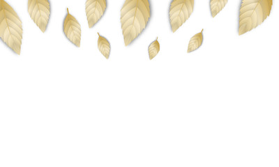 Wall Mural - leaves background. autumn gold foliage design. autumnal banner