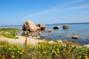 erratic boulders on the gulf of finland shore near kasmu village in northern estonia