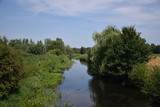 Fototapeta Łazienka - River in forest