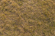 © Сергей Смыслов - Ground texture with dry grass and small, rare tufts of green plants.