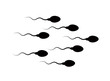 Spermatozoa quickly move to the target and overtake each other
