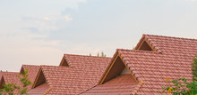 Tile Roofs, Pattern