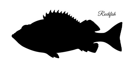 Silhouette of rockfish.