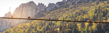Image Of Birds Sitting On A Power Line With Sunset And Mountainlandscape In The Background