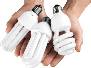 Canvas Print - Two Hands Holding Three Energy Efficient Bulbs - Isolated