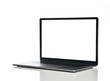© Dmitry Lobanov - New laptop computer display with keyboard and blank white screen isolated on a white