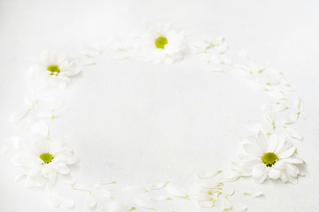 Wall Mural - daisy wreath on white background. herbera flowers in a circle. minimalist monochrome natural decor. empty space concept.