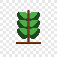 Wall Mural - oak leaf vector icon isolated on transparent background, oak leaf logo design