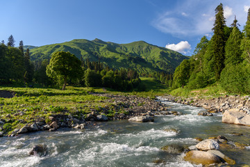 Wall Mural - Fast mountain river in the mountains of Abkhazia, Georgia. Alpine meadows in the mountains