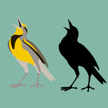 Western Meadowlark Bird  Flat Style Black Silhouette 