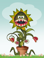 Sticker - carnivorous plant