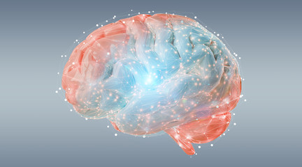 Digital 3D projection of a human brain 3D rendering