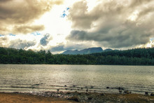 Lake Dobson, Mt Field NP, Tasmania, Australia