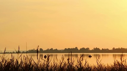 Wall Mural - Beautiful dawn over the lake.
