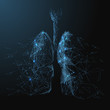Destructive lungs with broken contour. Low poly blue. Polygonal abstract health illustration. In the form of a starry sky or space. Vector image in RGB Color mode.