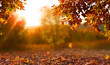 Leinwandbild Motiv Beautiful autumn landscape with. Colorful foliage in the park. Falling leaves natural background
