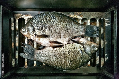 Fotografie, Obraz freshwater fish carp-prepared for Smoking on the smoker